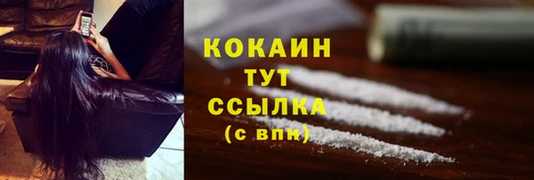 дмт Белокуриха