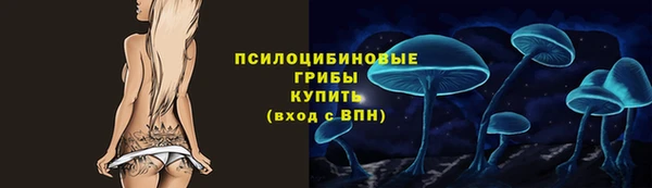 амф Белоозёрский