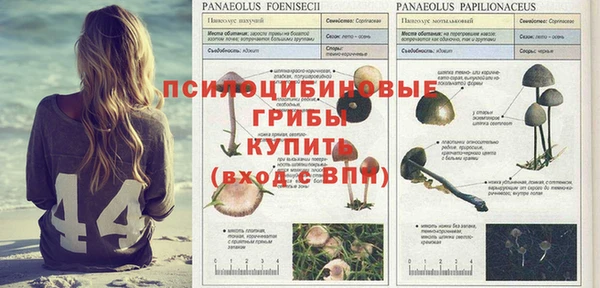 прущие крисы Беломорск