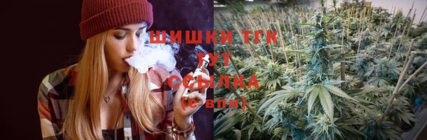 дмт Белокуриха