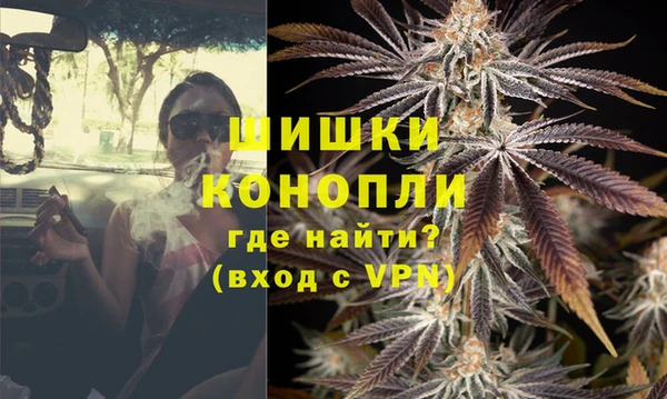дмт Белокуриха