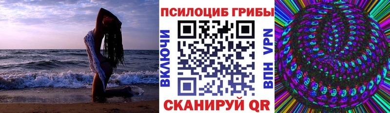 гидра как войти  магазин продажи   Кувандык  даркнет наркотические препараты  Псилоцибиновые грибы Psilocybine cubensis 